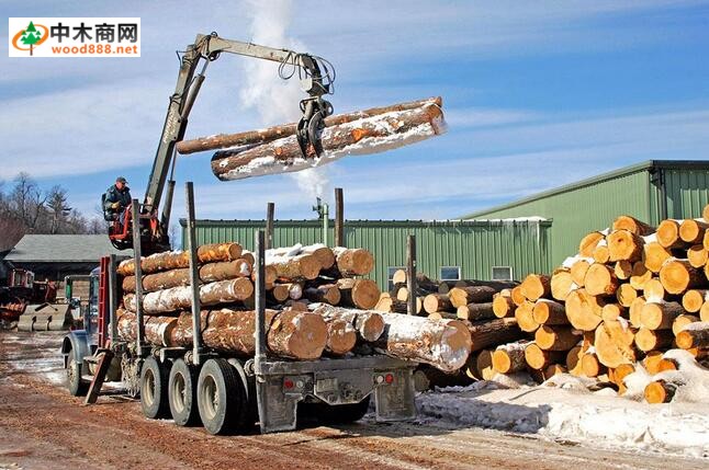 美国木材公司纷纷投资于工厂升级改造