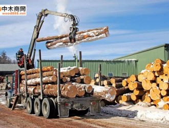 美国木材公司纷纷投资于工厂升级改造