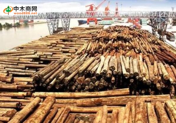 老挝木材工业寻求发展机会