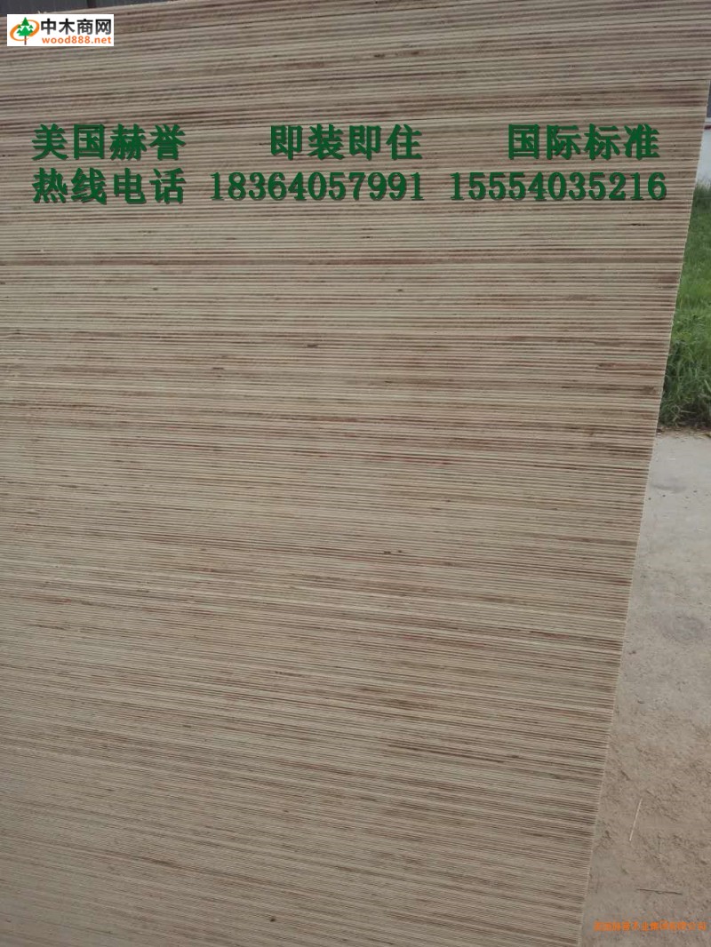 杨木生态板