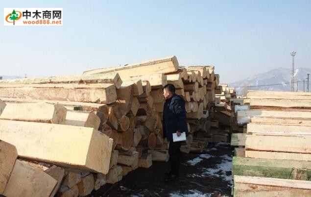 集安口岸开展进口木材复检工作