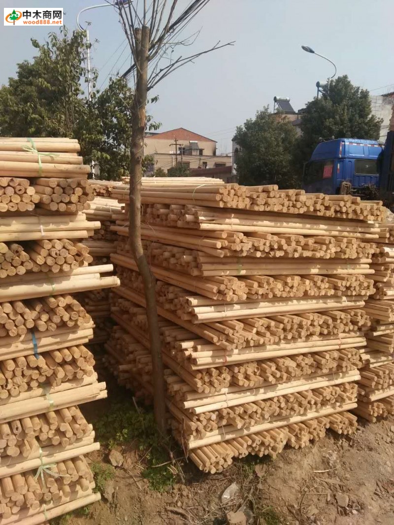 各种粗度的松木木柱1米和杨木木柱1.3米