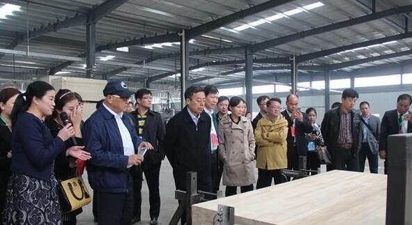 临颍县杜曲木业产业年产值达到83亿元