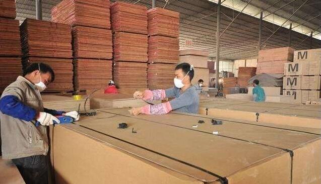 中国国内木材产业园巡视