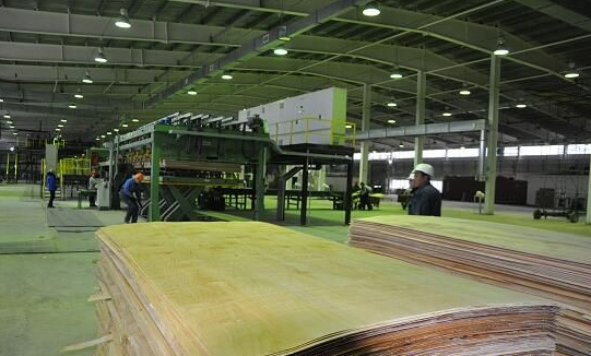 木业企业走出去巡视之---中资企业在俄罗斯的木材加工投资项目