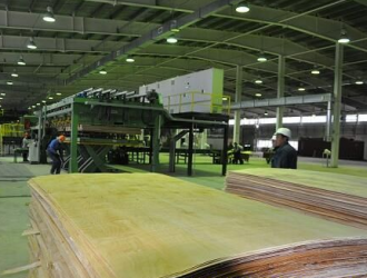 木业企业走出去巡视之---中资企业在俄罗斯的木材加工投资项目
