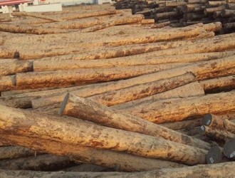 中国木材出口企业的原材料采购特点