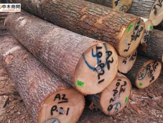 国际木材合法性贸易要求对木业企业的有利和不利影响分析