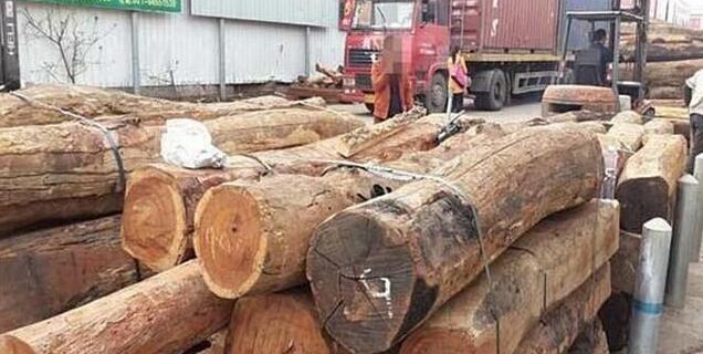 缅甸木材出口商为避免税收赶出口