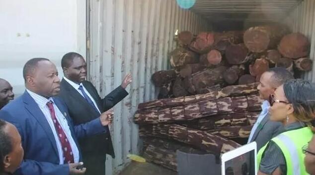 赞比亚政府准备出售缴获的血檀木