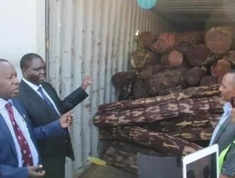 赞比亚政府准备出售缴获的血檀木