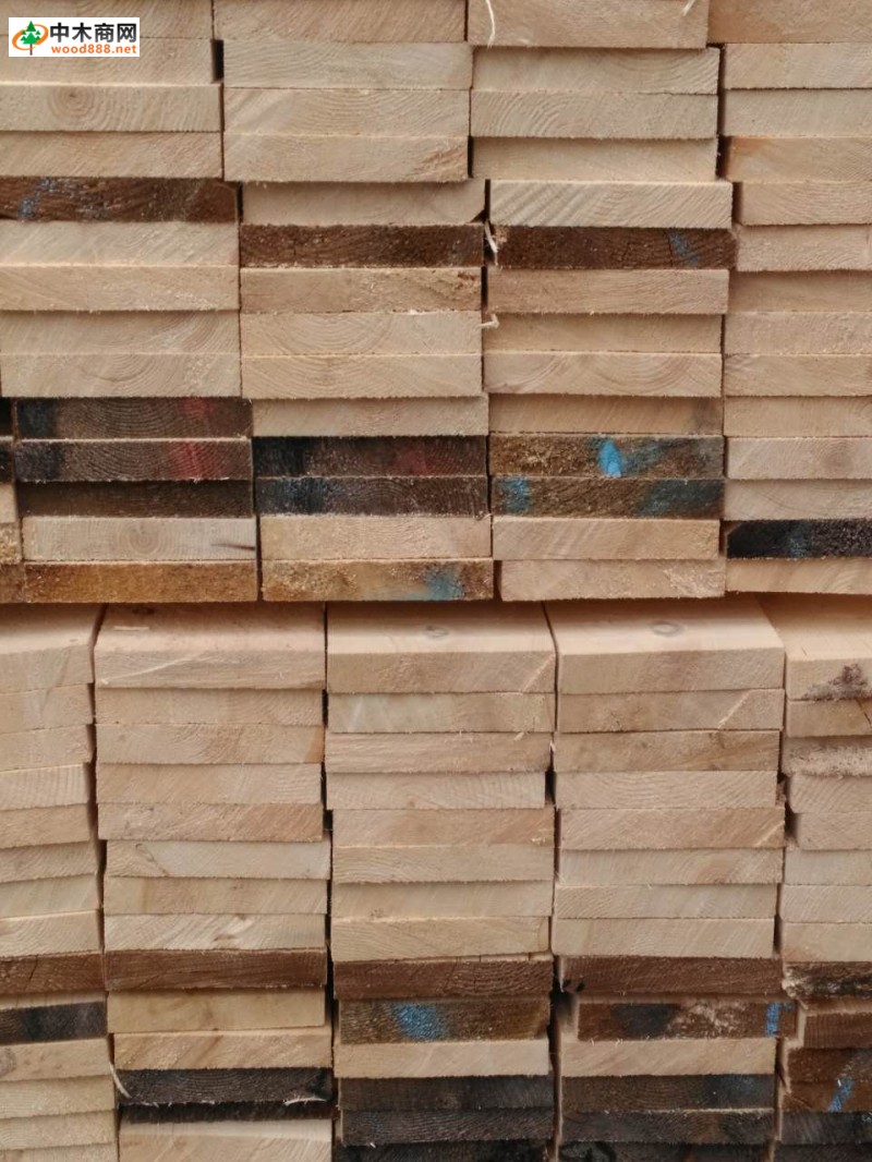 太仓铁杉工程木方出售价格