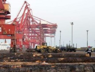 太仓港一季度进口原木涨幅超80%