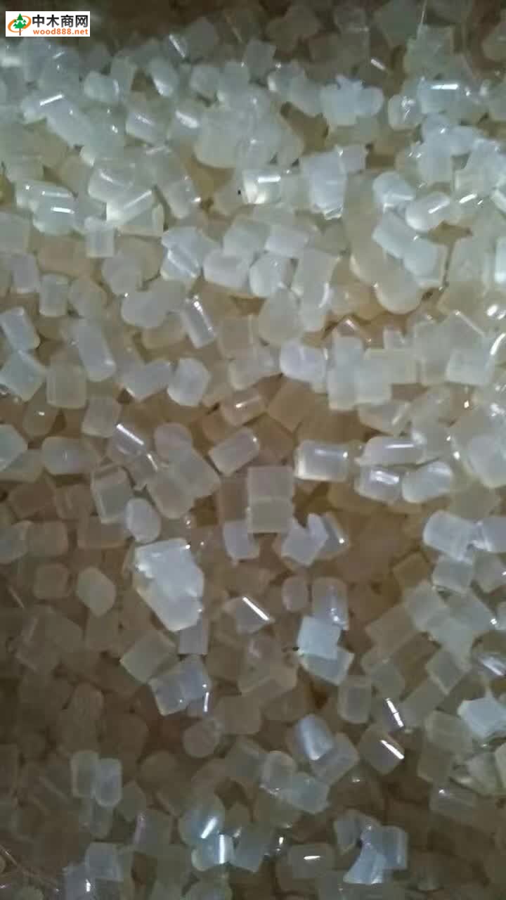 骨胶