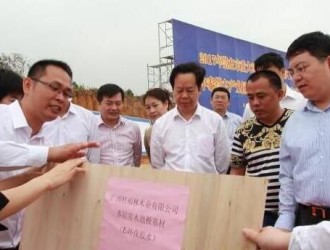 广西桂福林木业年产4万立方木地板项目举行开工仪式