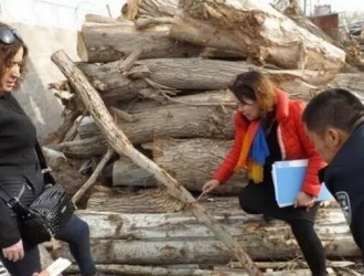 新疆和静县林业局对辖区木材加工厂开展联合检查