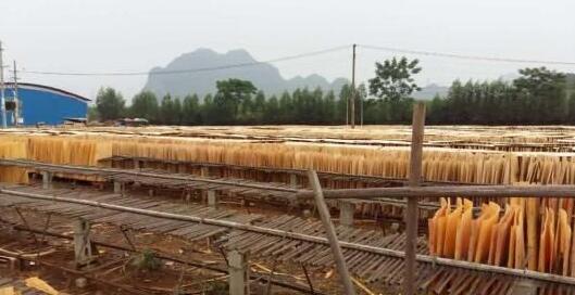崇左市木材加工产业发展调研组到扶绥县专题调研
