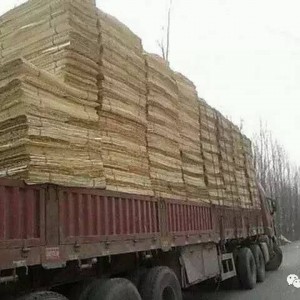 杨木板皮出售