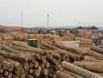 国际木材市场观察：加纳烘干木材出口总量增长逾一倍
