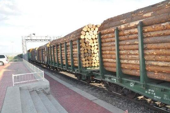 俄罗斯木材价格行情