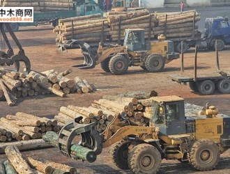 龙口口岸一季度进口原木货值增长118.5%