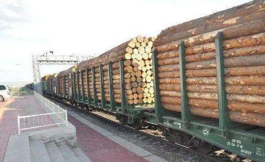 中国去年购买千万立方米俄罗斯原木 俄林业部门8年来首盈利