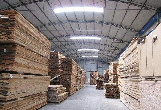 贵阳市经开区专项检查木材市场