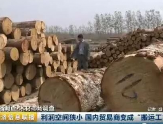 央视木材市场调查：进口木材大幅增加 木材贸易商利润窄成“搬运工”