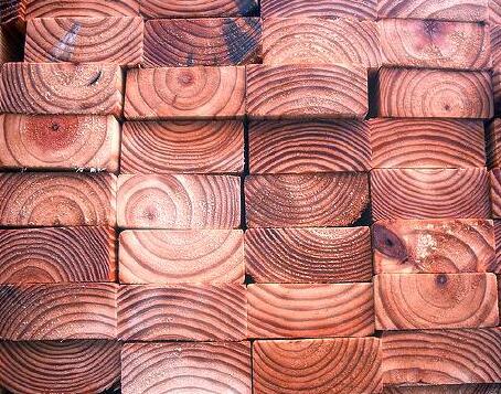 木头的特征有哪些
