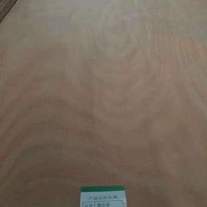 简介：
