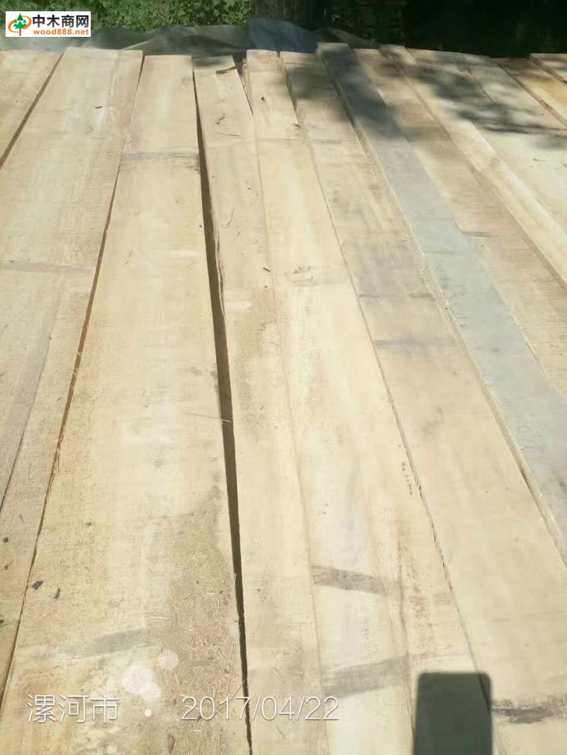 河南白杨木板材