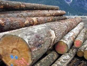 贵港（华胜）木材国际产业中心建设项目在深圳签订合作框架协议书