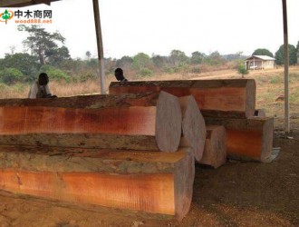 莫桑比克暂停木材出口政策的影响下，皮灰保持顺畅走势
