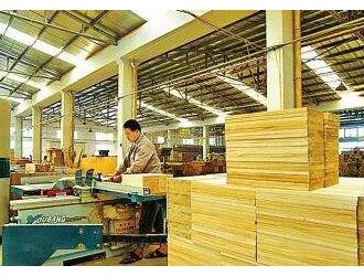 全国木材市场行情最新变化 天津地区木材加工企业订单爆满
