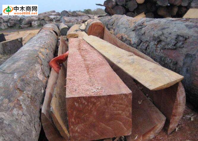 加拿大贸易部出访越南、新加坡以及文莱 为加拿大木材寻更多市场机会