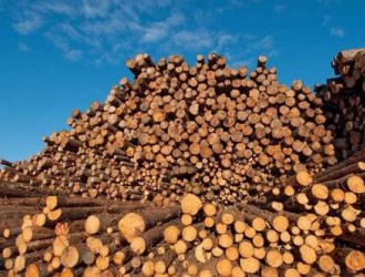 加拿大高官访华推销木材 感受到中国市场需求
