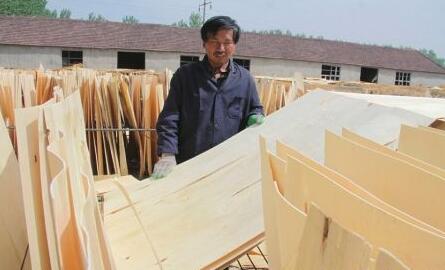 河南永城市陈集镇板材家具业130余家,年产值近2亿元
