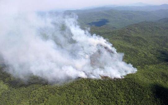  俄罗斯蔓延至我国的森林大火将直接影响木材价格？
