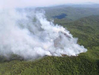 俄罗斯蔓延至我国的森林大火将直接影响木材价格？