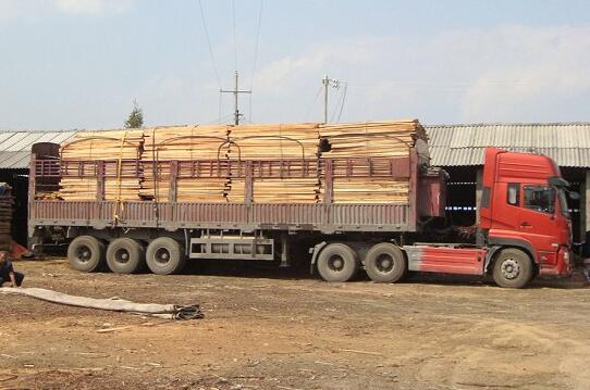 无木材运输证运输木材的处罚