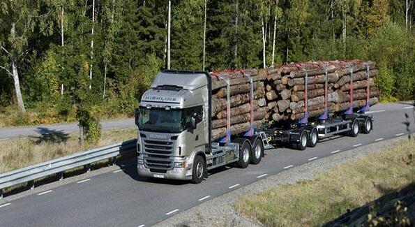   无需办理木材运输证的情形