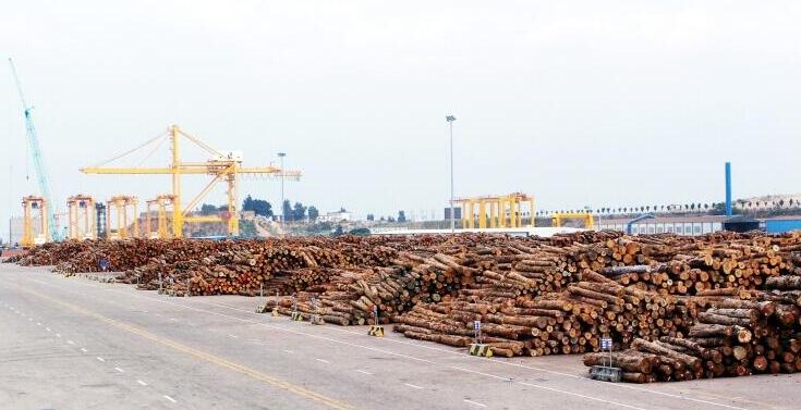 九江港建首个木材专用码头