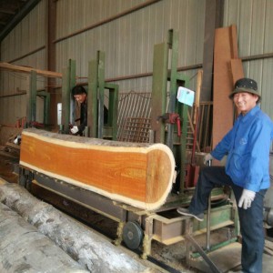 印尼菠萝格和非洲菠萝格哪个更适合古建祠庙木结构图3