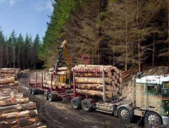 新西兰将减少原木的出口量，运费的上涨将可能带动价格上涨