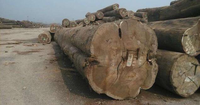 加蓬和喀麦隆木材出口不畅导致国家收入减少