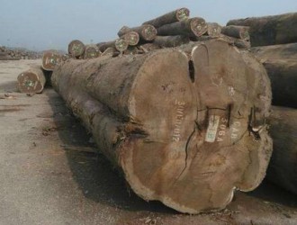 加蓬和喀麦隆木材出口不畅导致国家收入减少