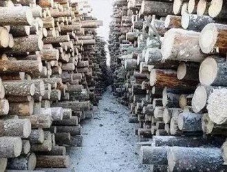 加拿大总理特鲁多对美国原木贸易税展开回击