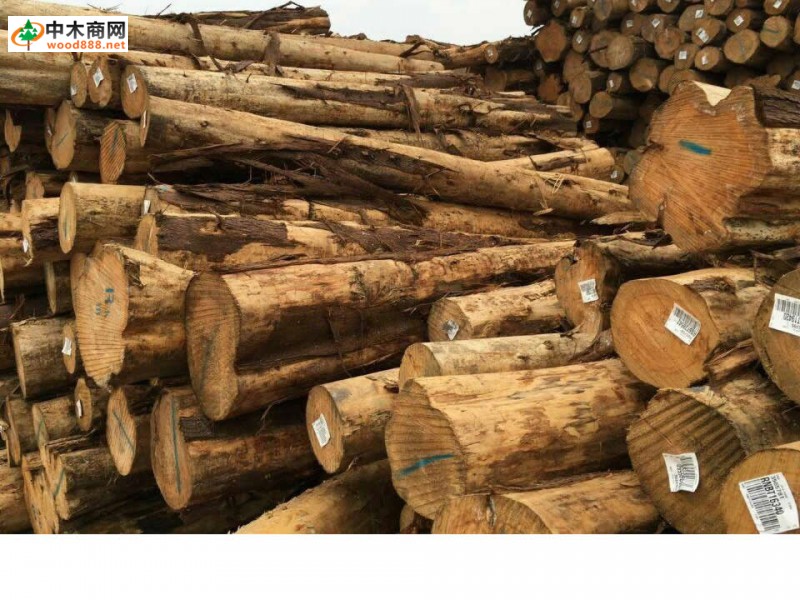 印度尼西亚木材出口到欧洲的数量大幅度增长