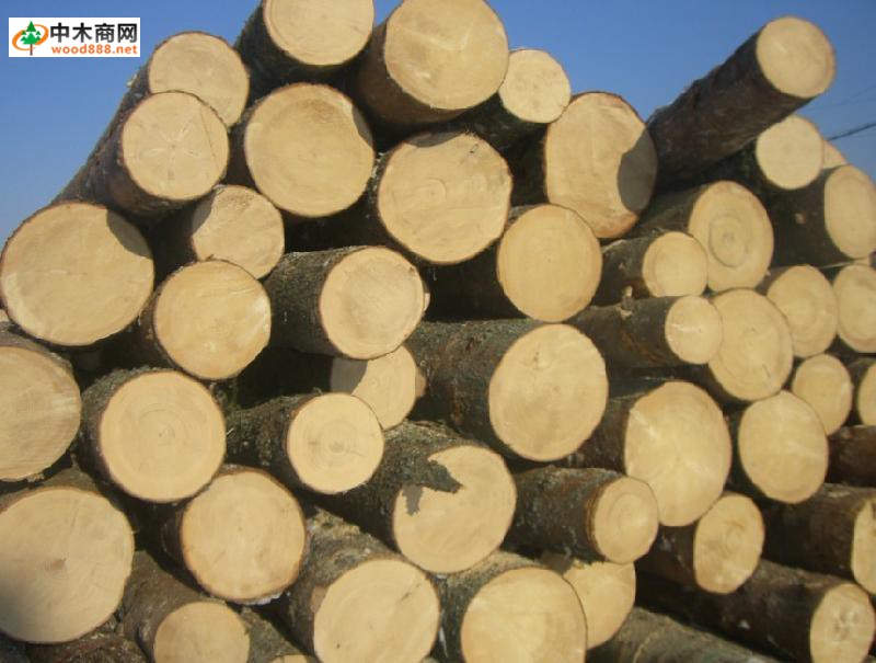 淡季来临 中国木材价格指数遭遇三连阴