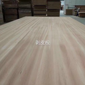 剥皮桉（金丝红檀）拼板图2